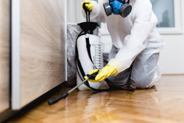 Wasp Removal Services in Perryville, MO
