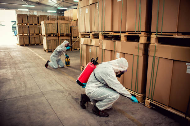 Best Bed Bug Extermination  in Perryville, MO