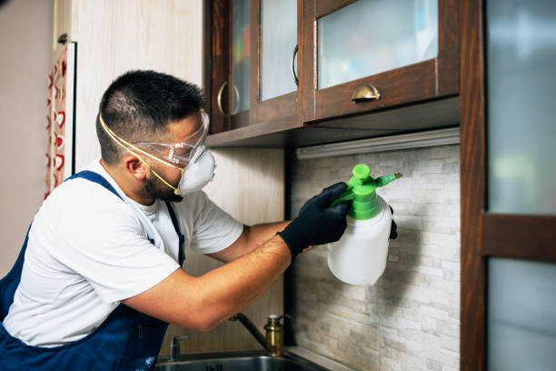 Best Mosquito Control Services  in Perryville, MO
