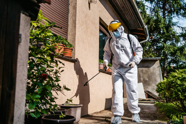 Best Pest Control Near Me in Perryville, MO