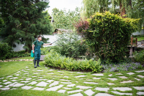 Best Pest Control Treatment  in Perryville, MO
