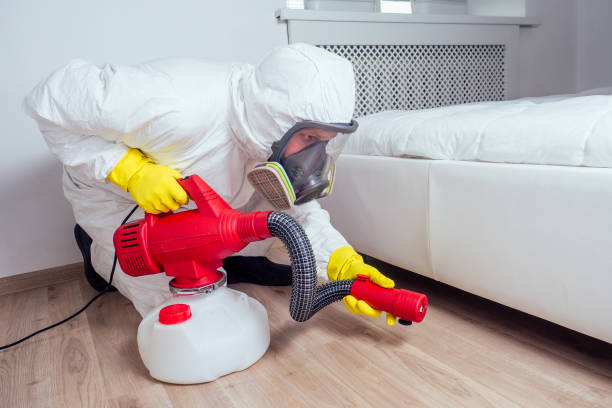 Best Affordable Pest Control Services  in Perryville, MO