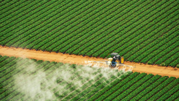 Best Best Pest Control Companies  in Perryville, MO