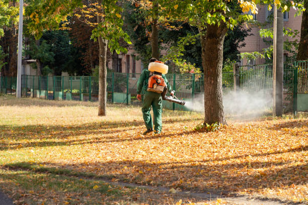 Wasp Removal Services in Perryville, MO