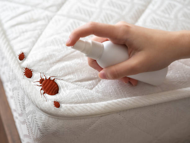 Best Local Pest Control Services  in Perryville, MO