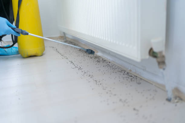 Best Best Pest Control Companies  in Perryville, MO