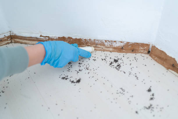 Best Pest Control Near Me  in Perryville, MO