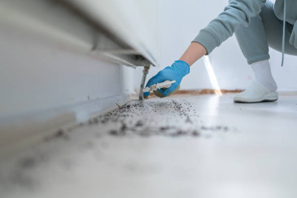 Trusted Perryville, MO Pest Control Experts