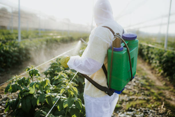 Best Mosquito Control Services  in Perryville, MO